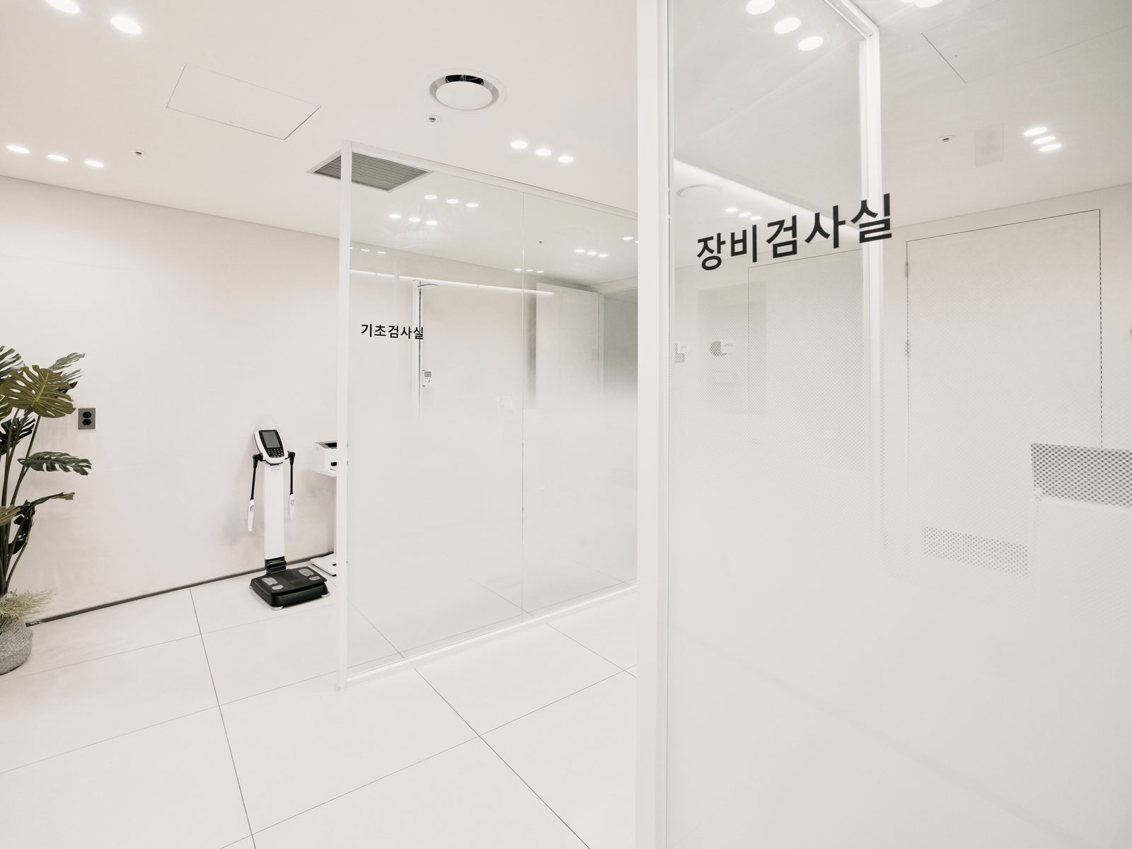 진단검사 · 기초검사